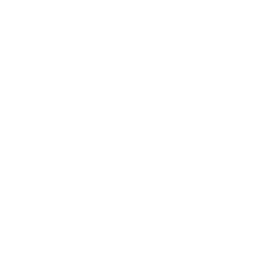 Logo 3V